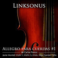 allegro cuerdas